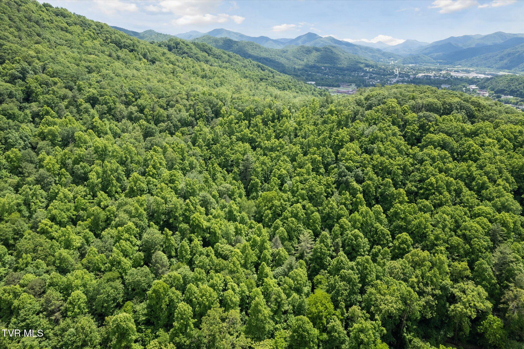 Tbd Rich Hollow Road, Erwin, Tennessee image 35