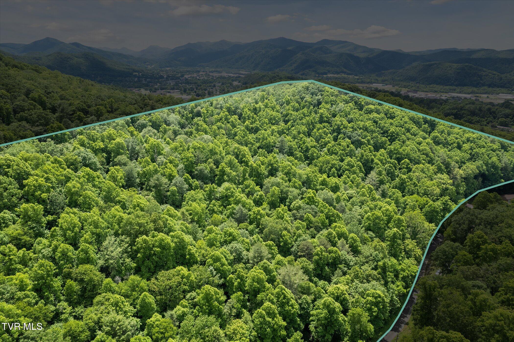 Tbd Rich Hollow Road, Erwin, Tennessee image 3