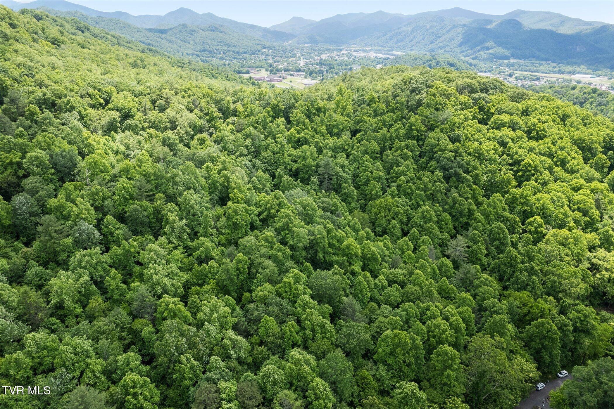 Tbd Rich Hollow Road, Erwin, Tennessee image 30