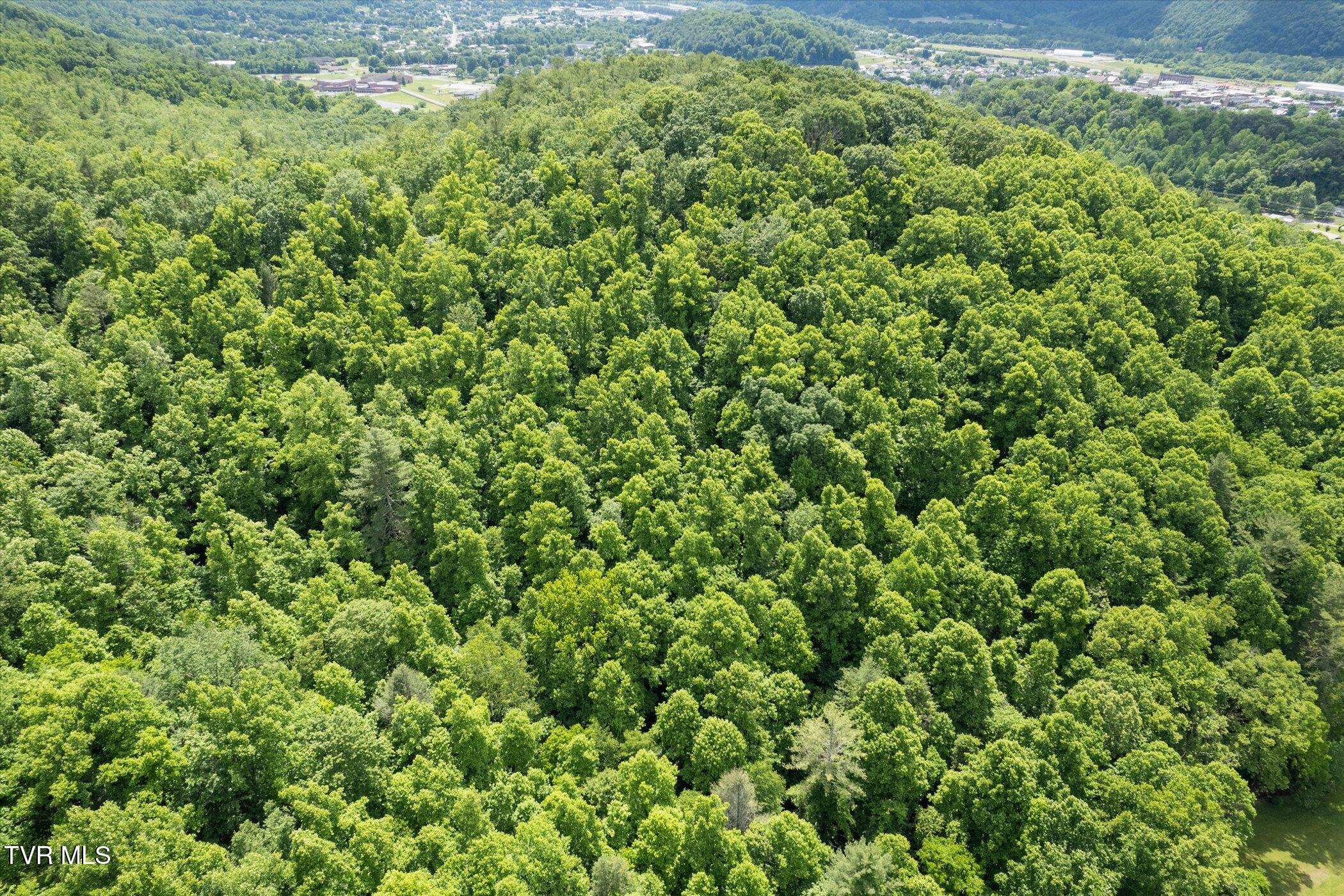 Tbd Rich Hollow Road, Erwin, Tennessee image 43