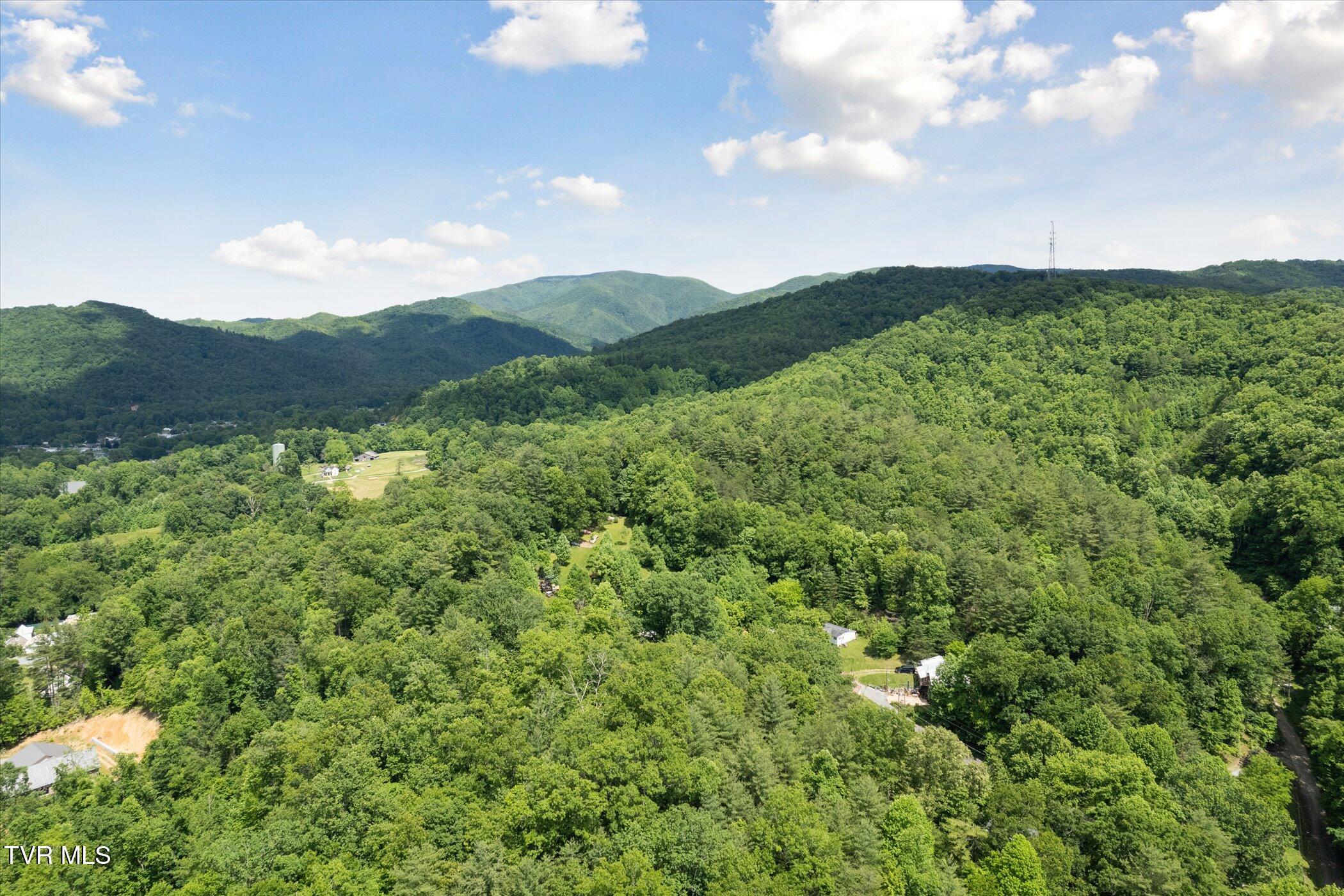 Tbd Rich Hollow Road, Erwin, Tennessee image 38