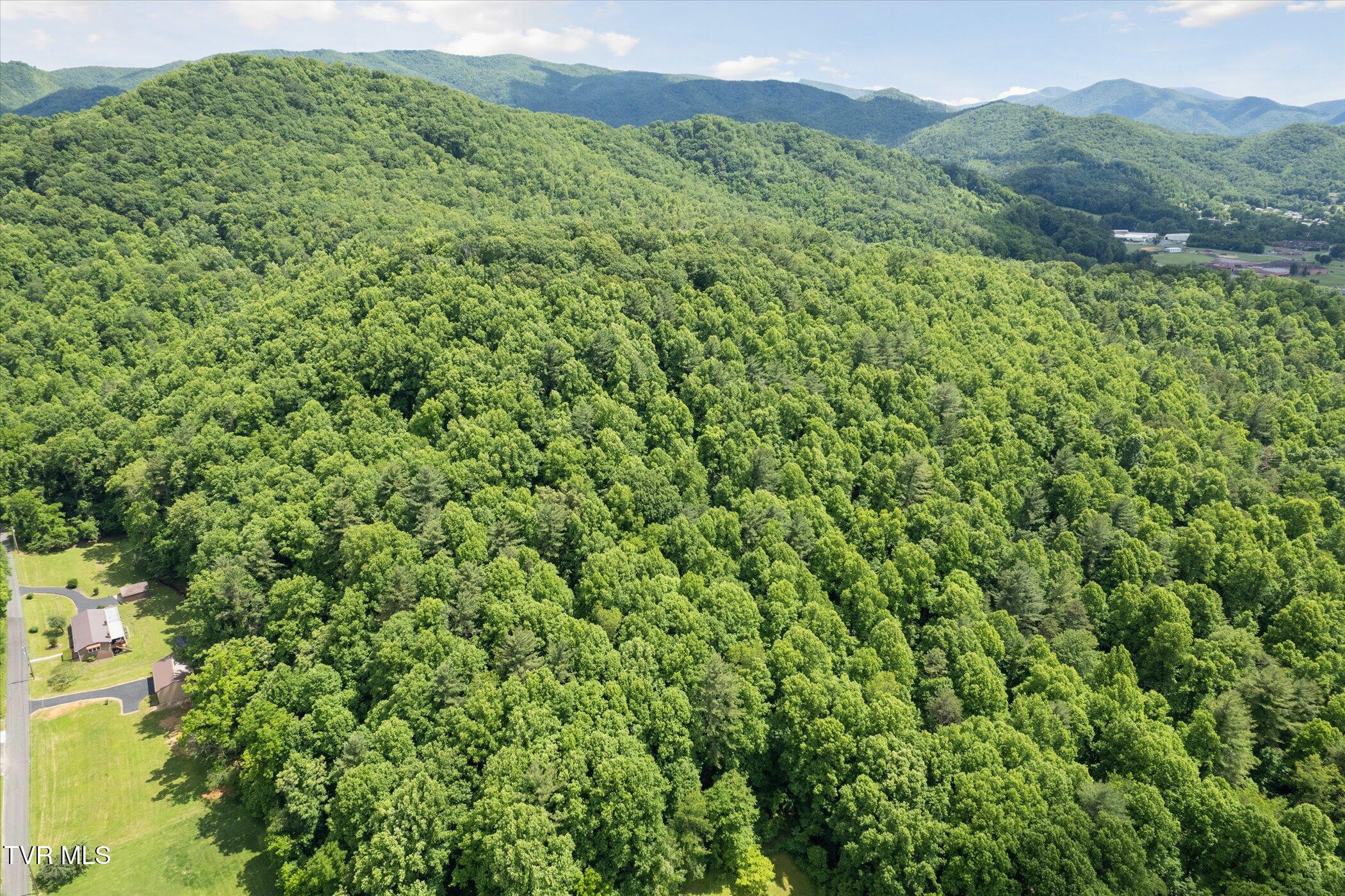 Tbd Rich Hollow Road, Erwin, Tennessee image 32