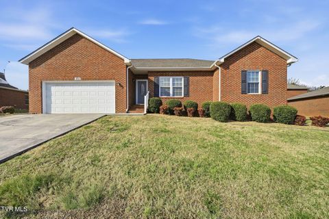 Photo of 205 Farmington Drive, Greeneville, TN 37743 (MLS # 9990219)
