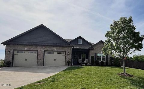 Photo of 237 Eden Drive, Telford, TN 37690 (MLS # 9995855)