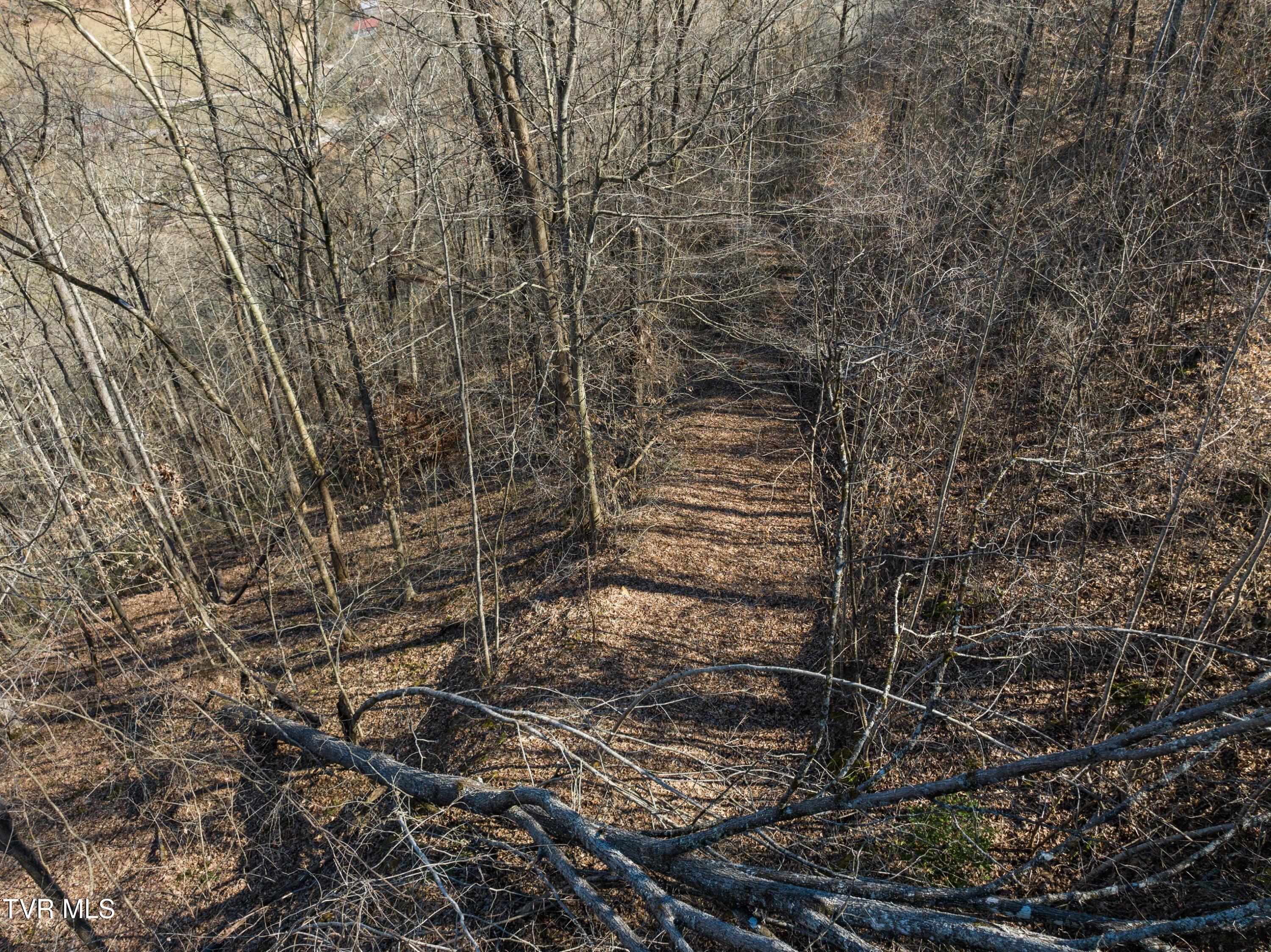 Tbd Cave Springs Road, Tazewell, Tennessee image 8