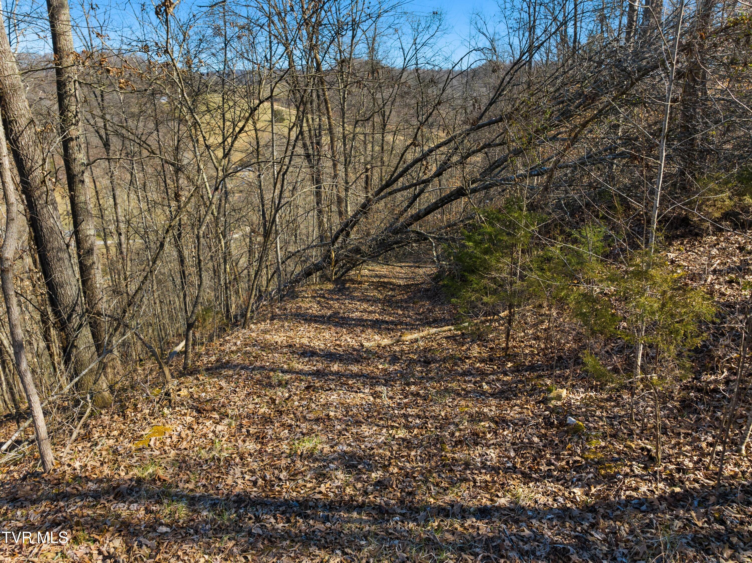 Tbd Cave Springs Road, Tazewell, Tennessee image 7