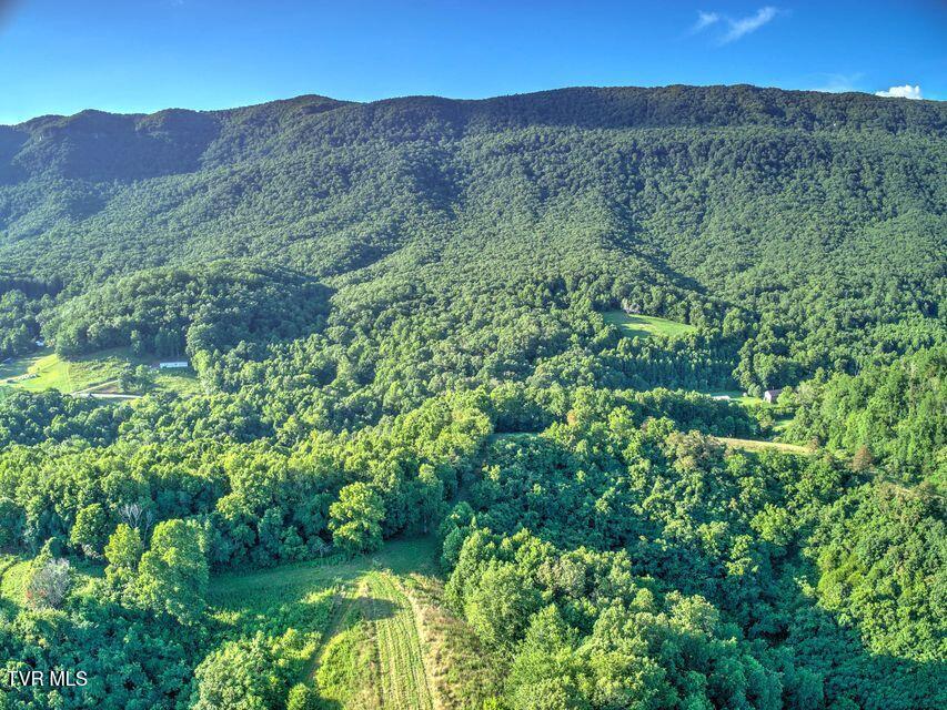 000 Dry Bridge Road, Ewing, Virginia image 6
