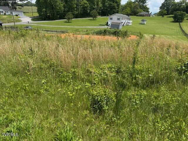 3593 Highway 390, Bluff City, Tennessee image 3