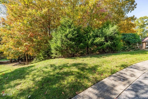 Vacant Land For Sale - 109 Lookout Court<br/> Sullivan County County, Blountville, TN 37617
