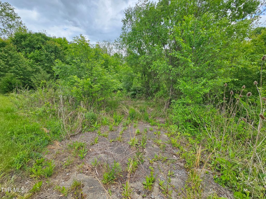 Photo of 00 Fordtown Road, Kingsport, TN 37663 (MLS # 9986431)