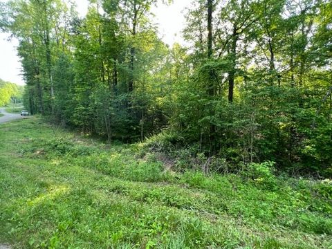 Vacant Land For Sale - 00 Sink Valley Road<br/> Johnson County, Butler, TN 37640
