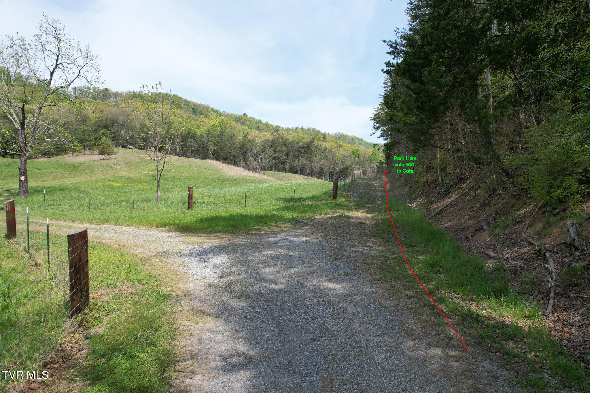 Coy Bradley Lane, Bulls Gap, Tennessee image 20