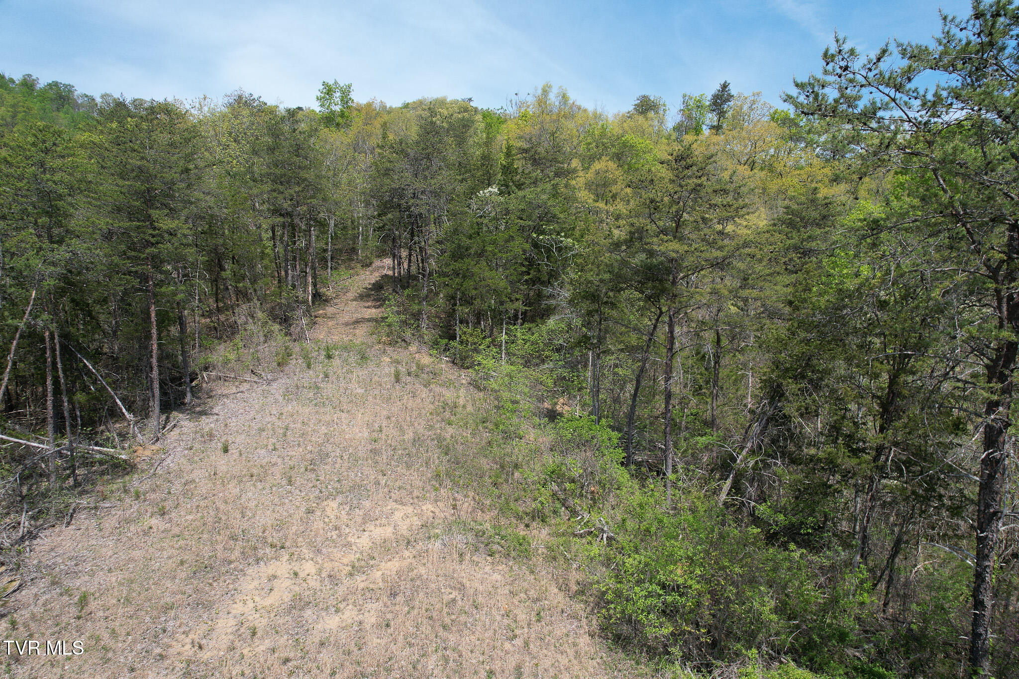 Coy Bradley Lane, Bulls Gap, Tennessee image 19