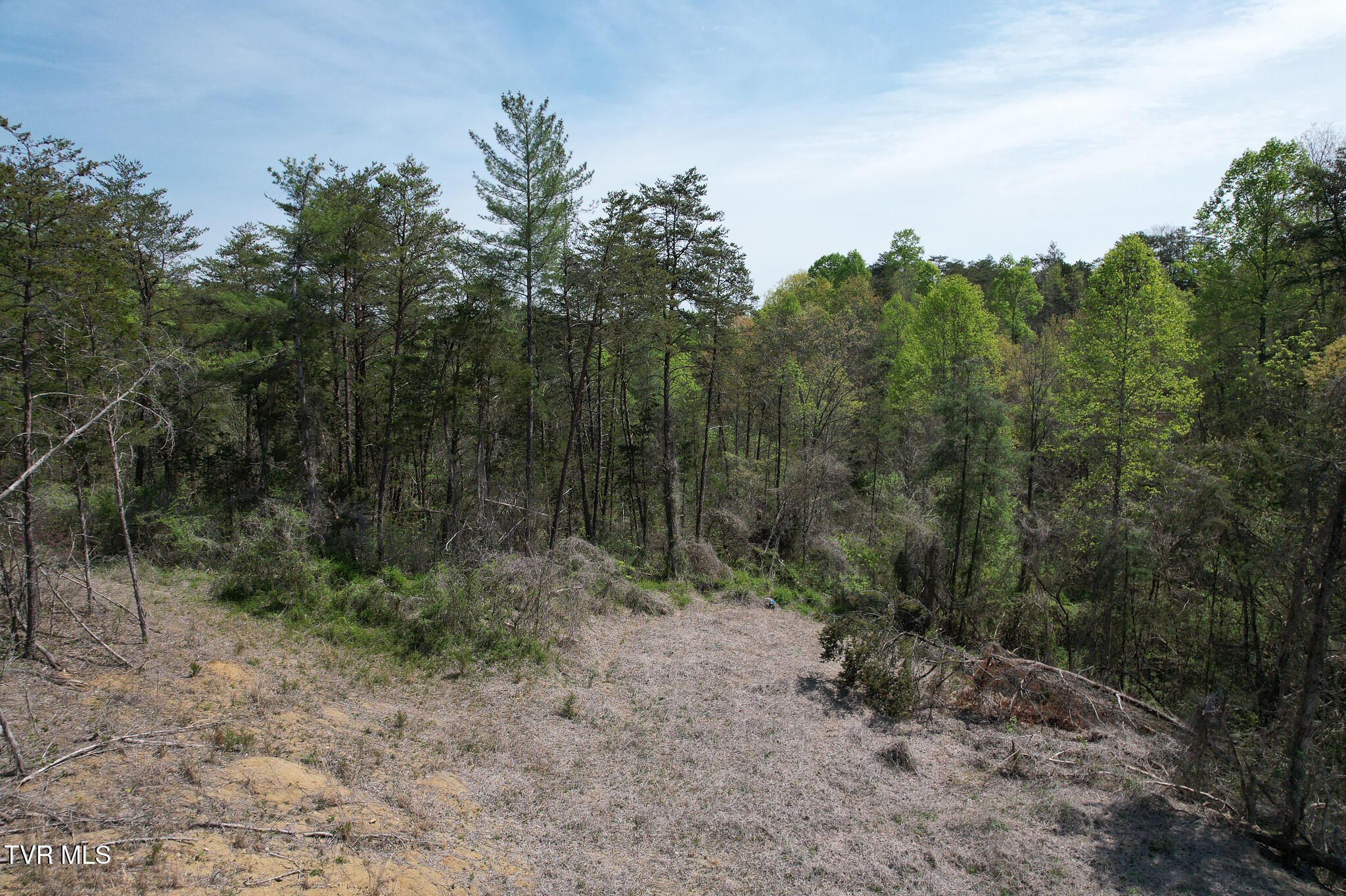 Coy Bradley Lane, Bulls Gap, Tennessee image 15