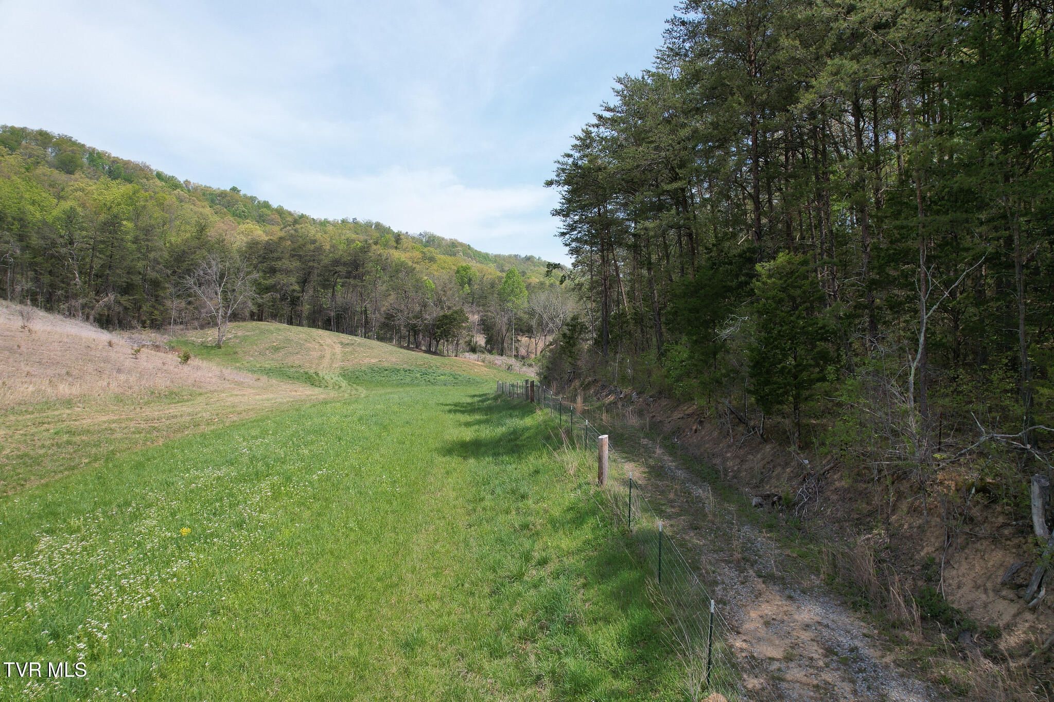 Coy Bradley Lane, Bulls Gap, Tennessee image 21