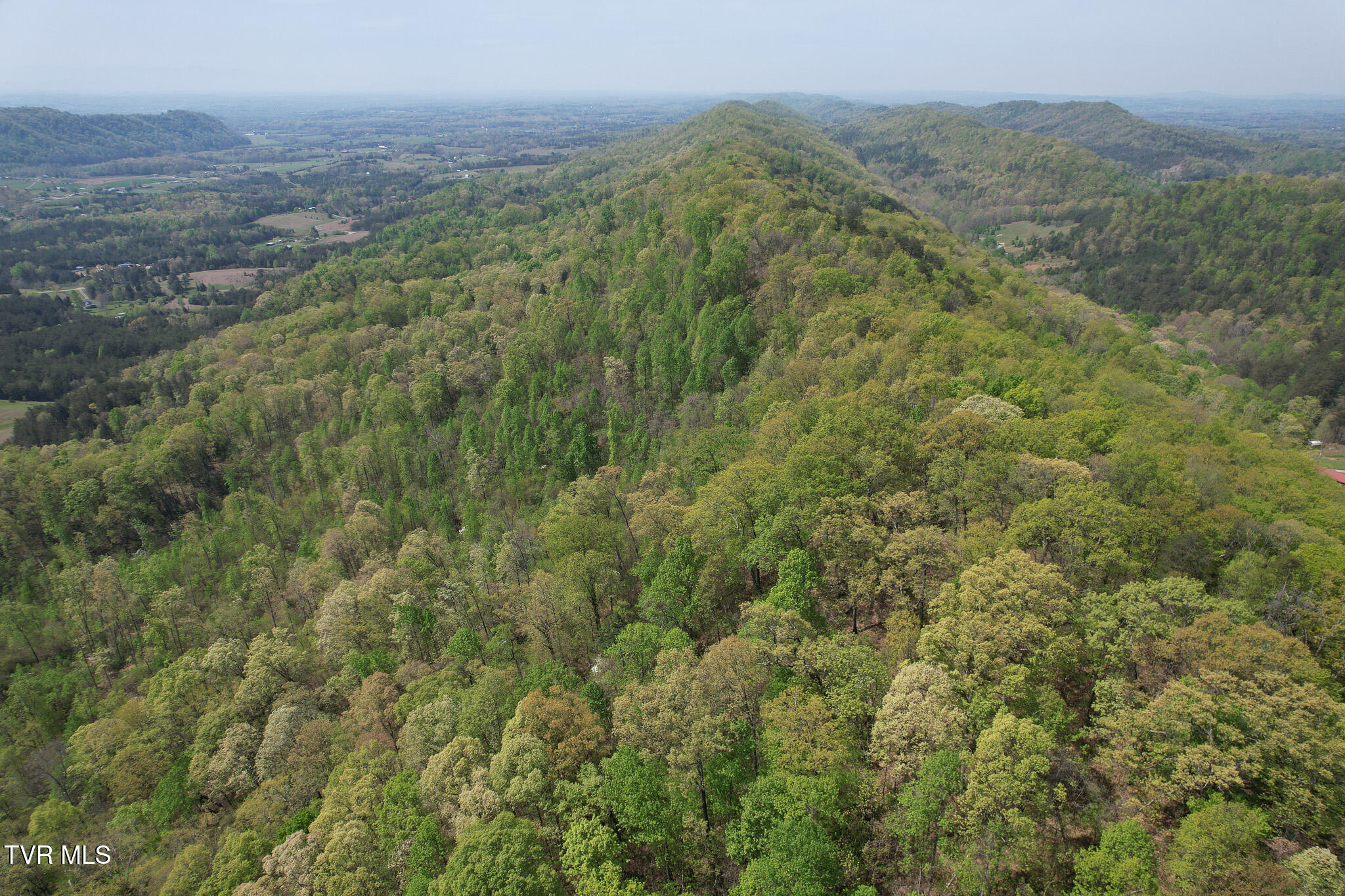 Coy Bradley Lane, Bulls Gap, Tennessee image 10