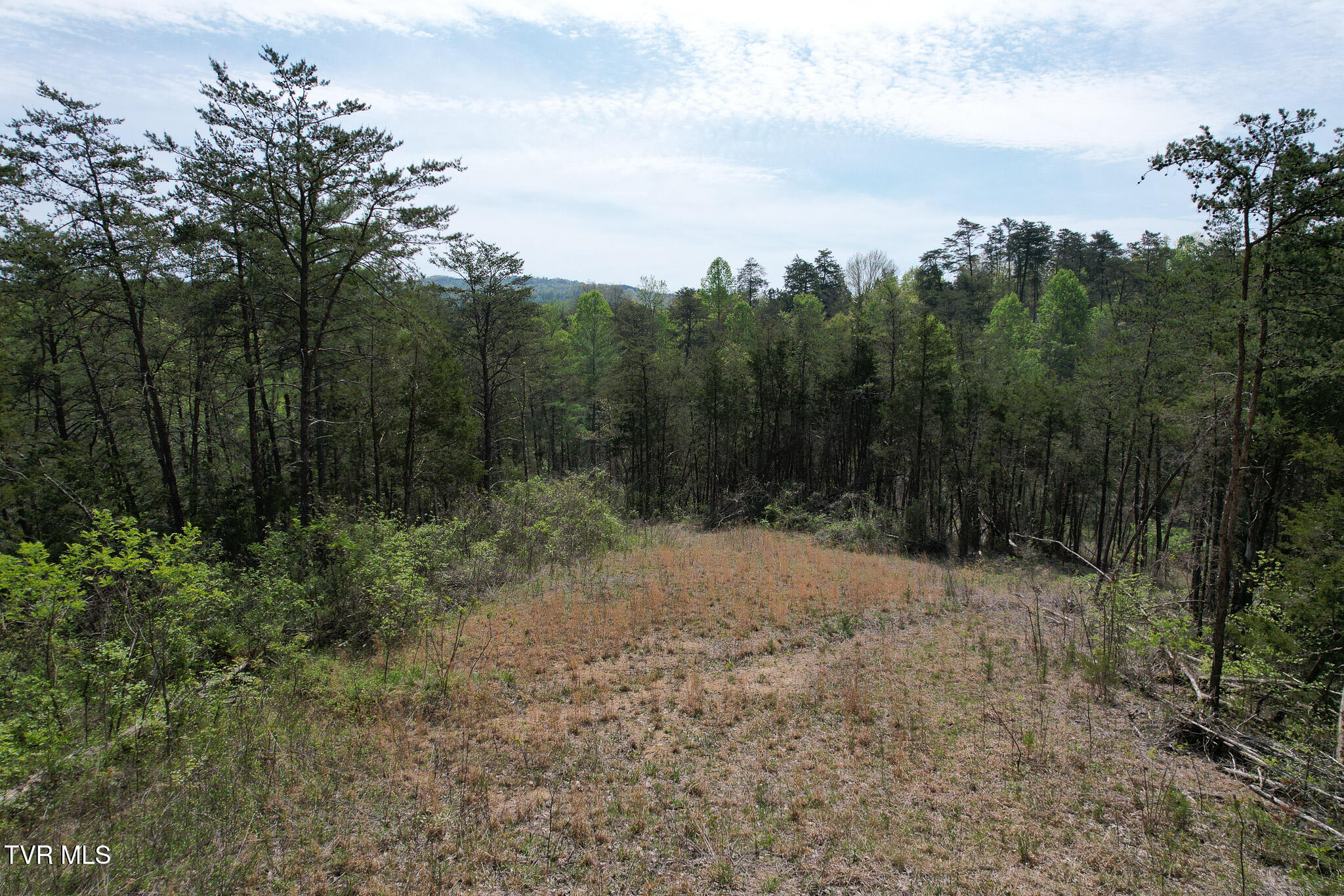 Coy Bradley Lane, Bulls Gap, Tennessee image 17