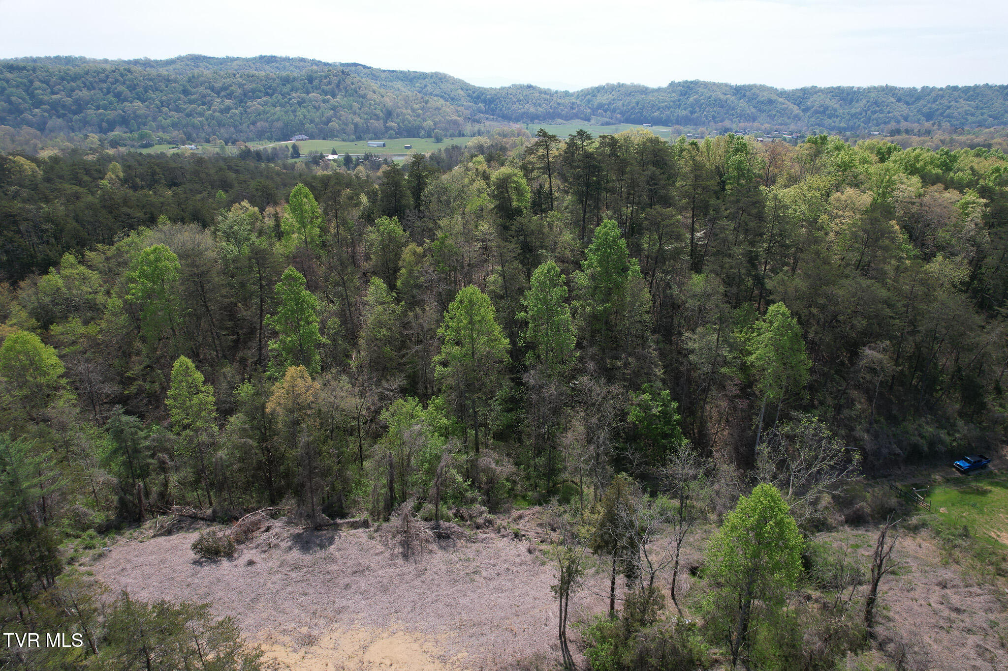 Coy Bradley Lane, Bulls Gap, Tennessee image 14