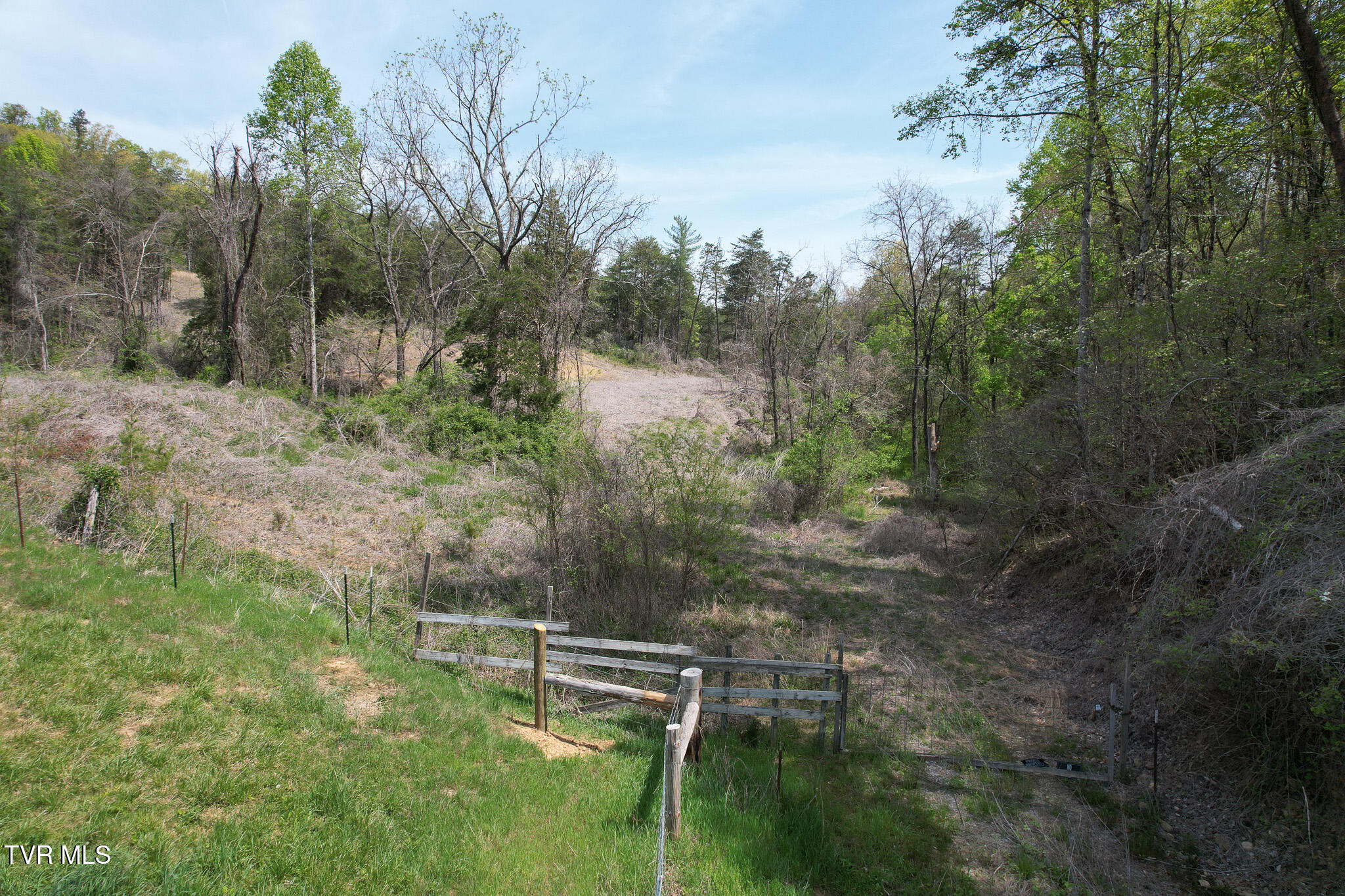 Coy Bradley Lane, Bulls Gap, Tennessee image 22