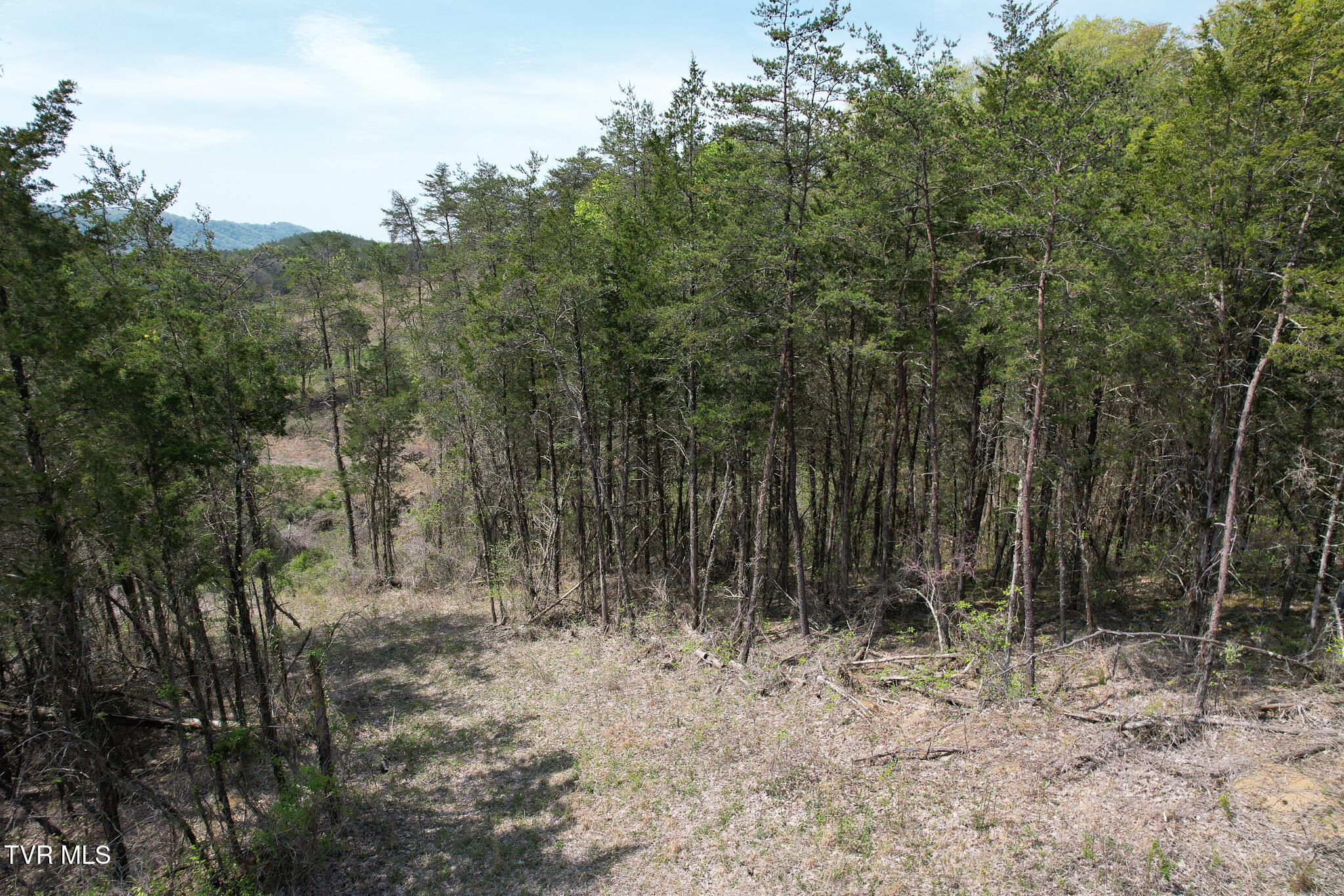 Coy Bradley Lane, Bulls Gap, Tennessee image 18