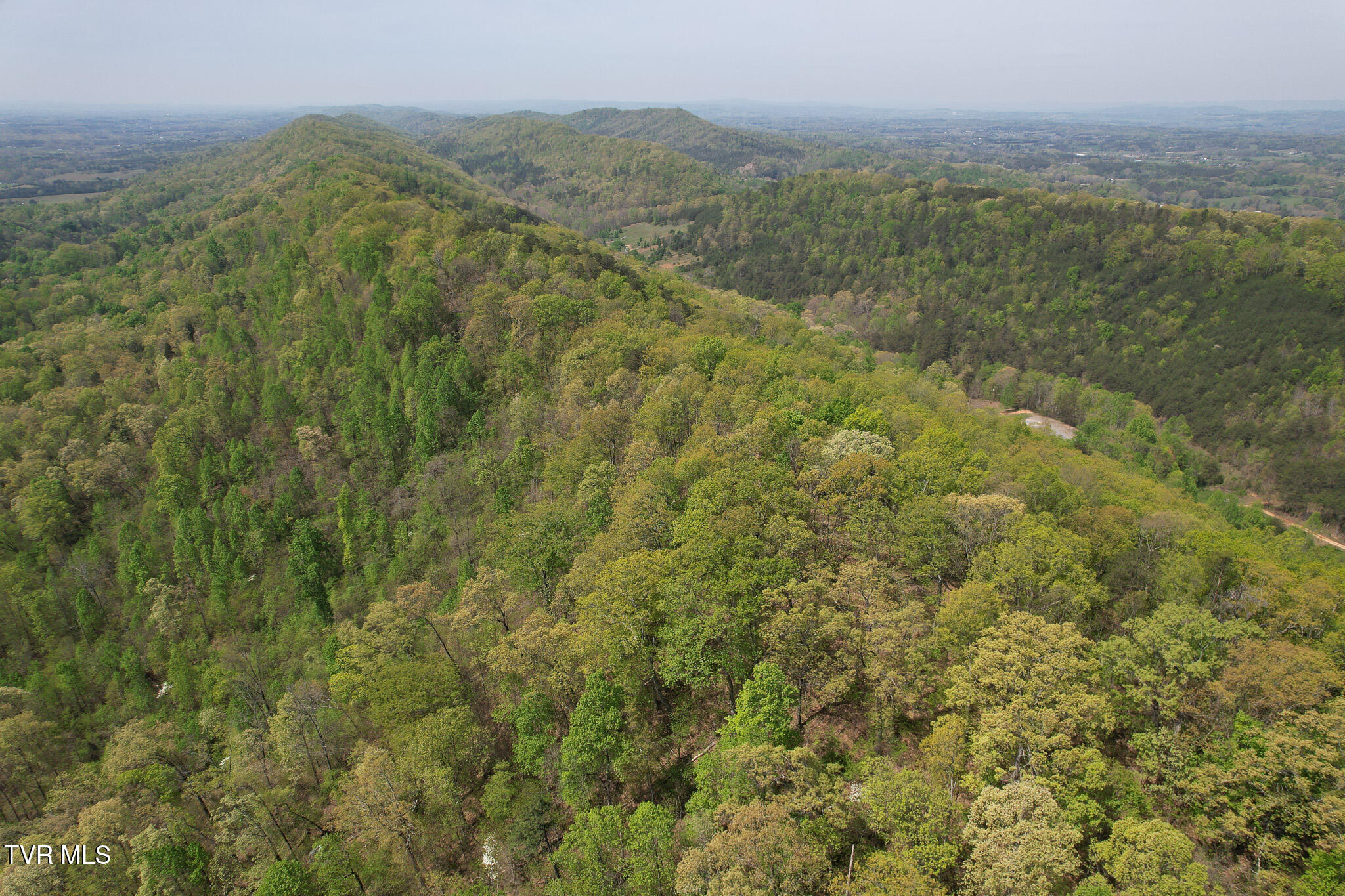 Coy Bradley Lane, Bulls Gap, Tennessee image 9