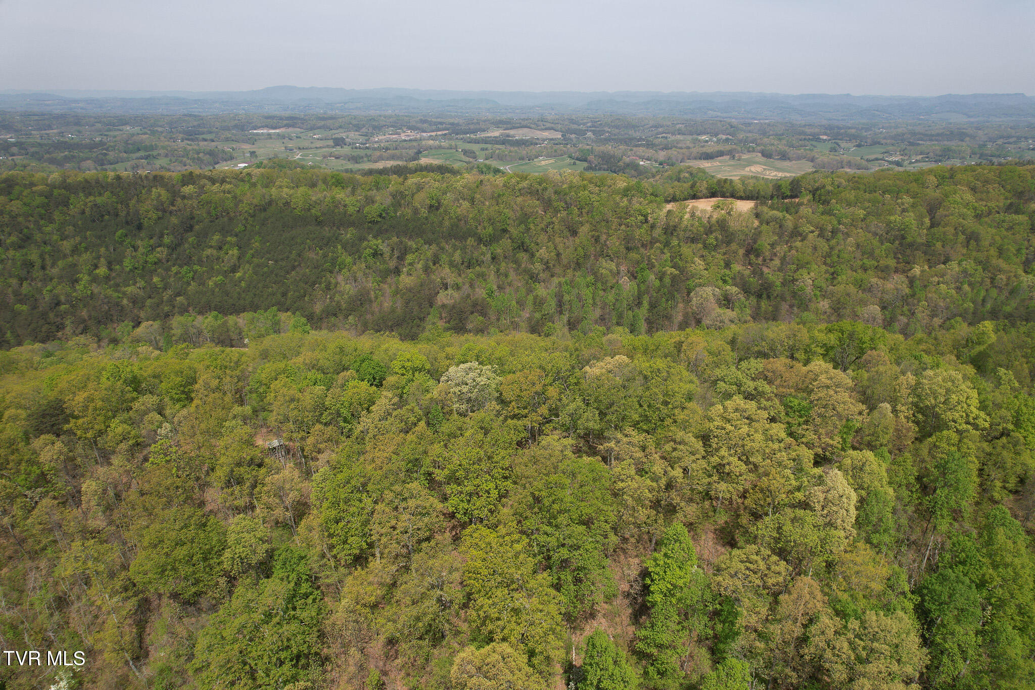 Coy Bradley Lane, Bulls Gap, Tennessee image 8