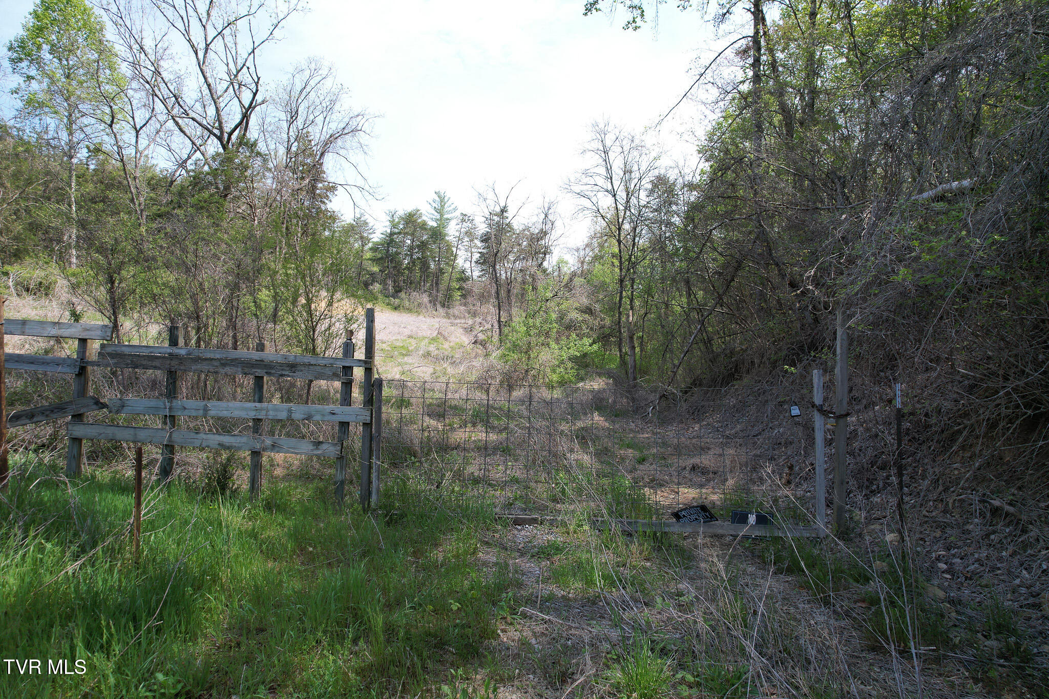 Coy Bradley Lane, Bulls Gap, Tennessee image 24