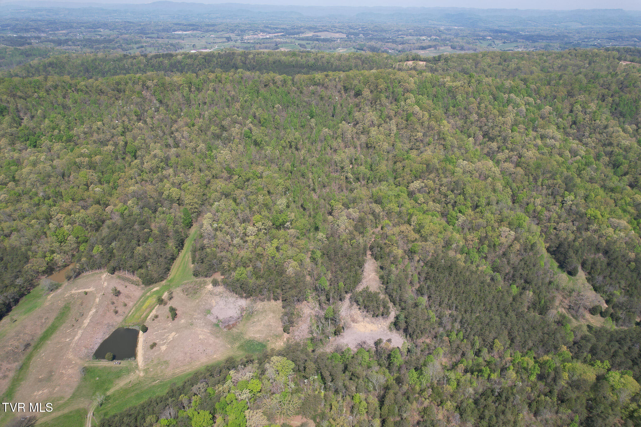 Coy Bradley Lane, Bulls Gap, Tennessee image 6