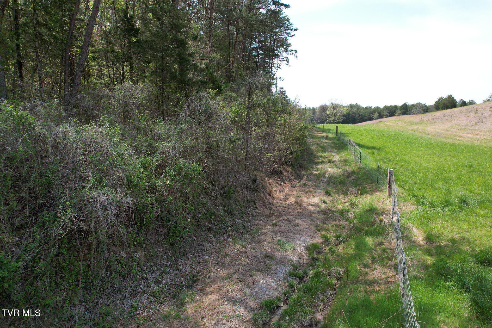 Coy Bradley Lane, Bulls Gap, Tennessee image 13