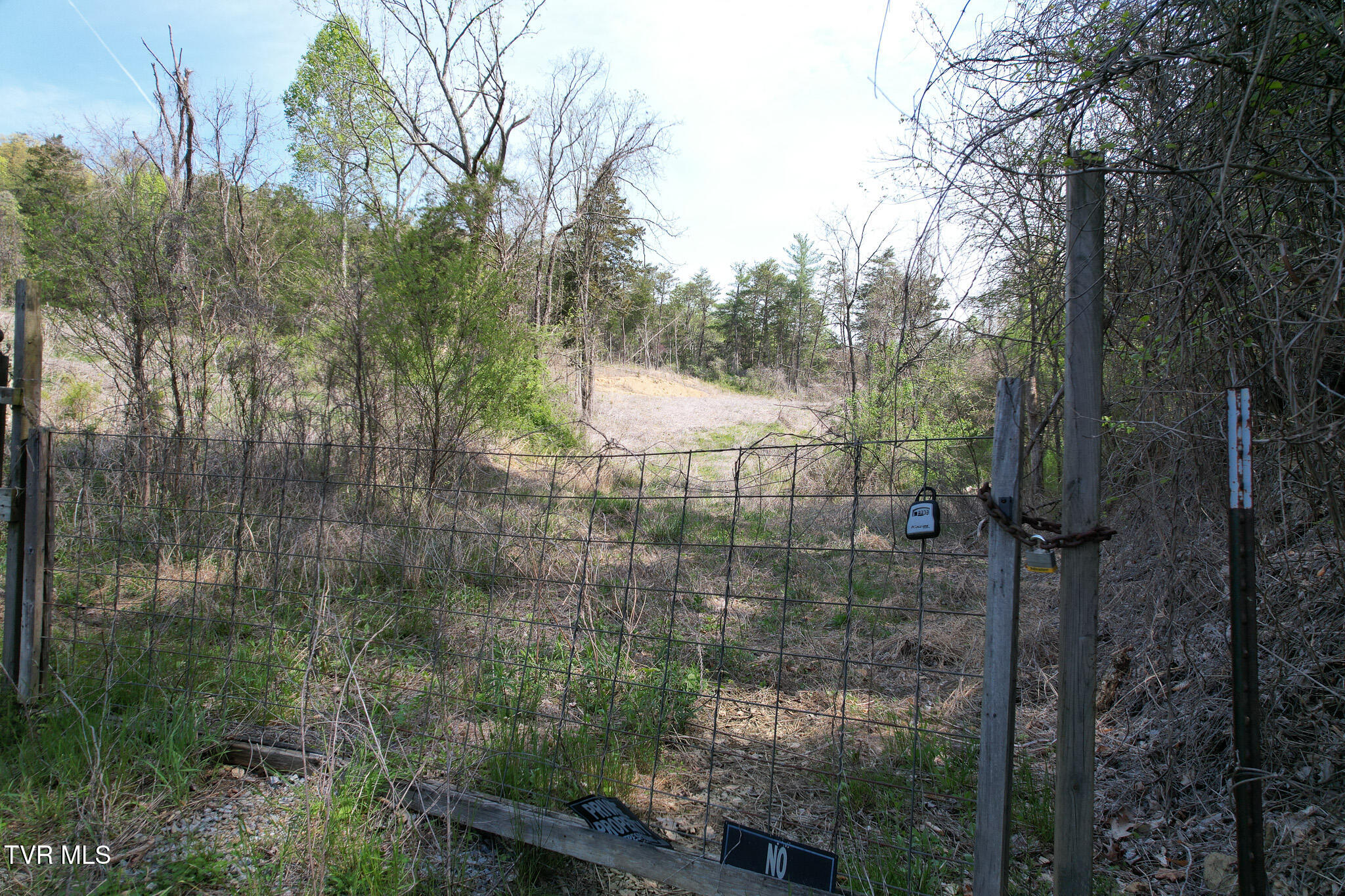 Coy Bradley Lane, Bulls Gap, Tennessee image 23