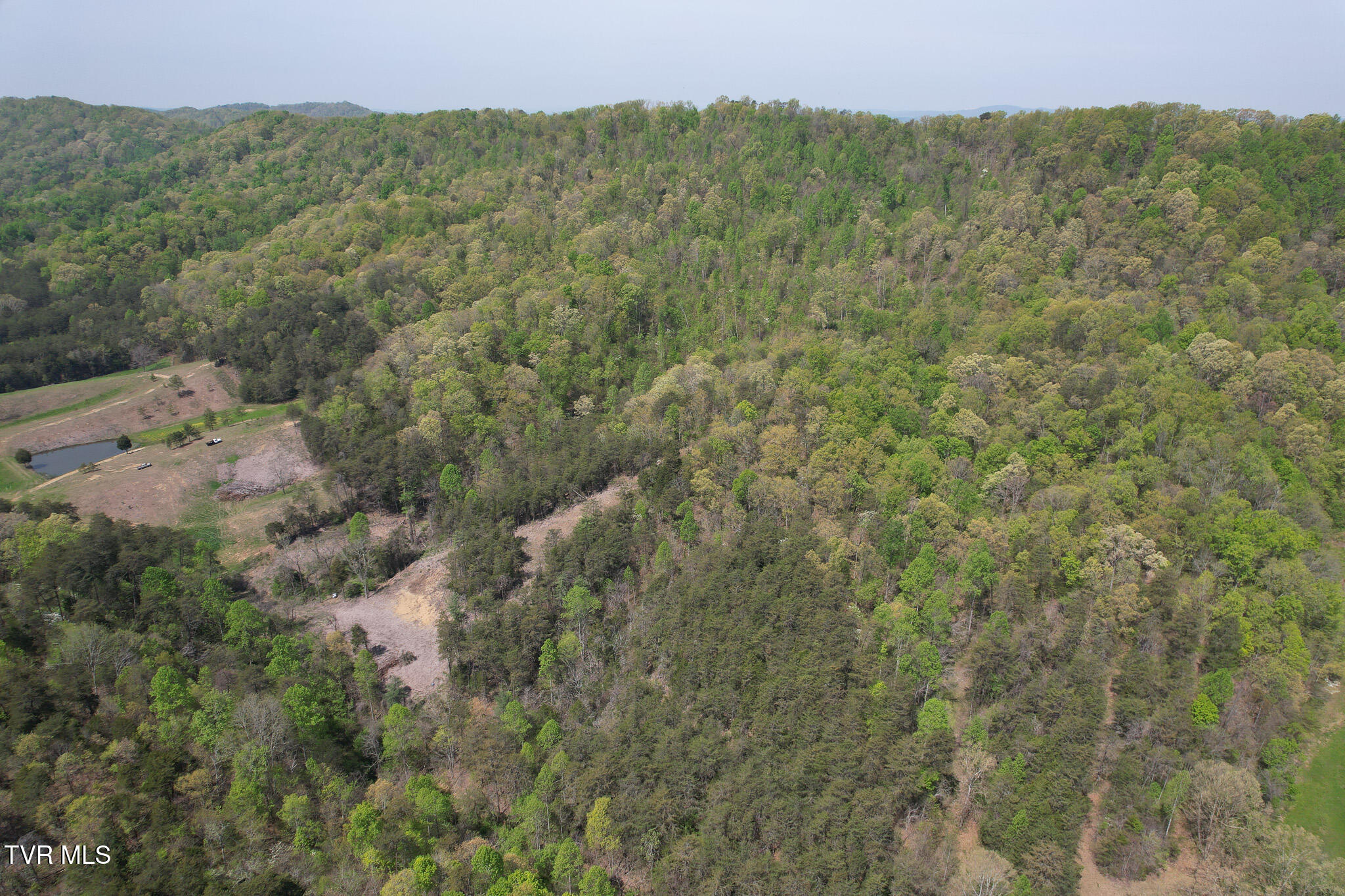 Coy Bradley Lane, Bulls Gap, Tennessee image 2