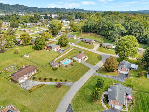 Tiny photo for 100 Martindale Road, Bristol, TN 37620 (MLS # 9986373)
