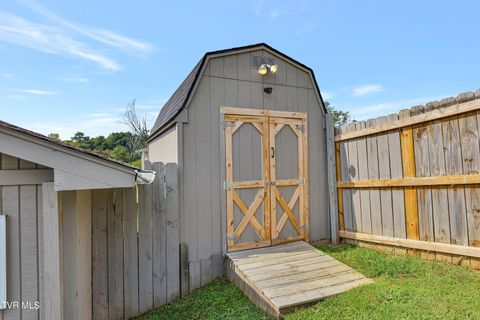 Tiny photo for 100 Martindale Road, Bristol, TN 37620 (MLS # 9986373)