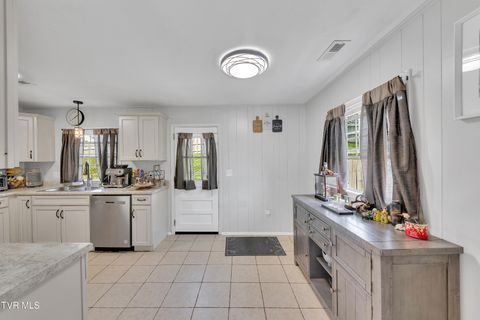 Tiny photo for 100 Martindale Road, Bristol, TN 37620 (MLS # 9986373)