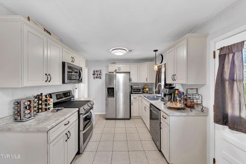 Tiny photo for 100 Martindale Road, Bristol, TN 37620 (MLS # 9986373)