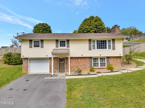 Tiny photo for 100 Martindale Road, Bristol, TN 37620 (MLS # 9986373)