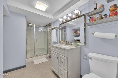 Tiny photo for 100 Martindale Road, Bristol, TN 37620 (MLS # 9986373)