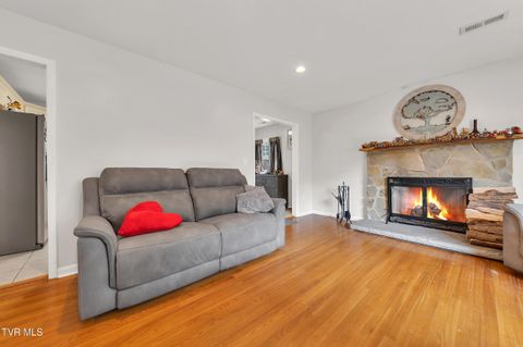 Tiny photo for 100 Martindale Road, Bristol, TN 37620 (MLS # 9986373)