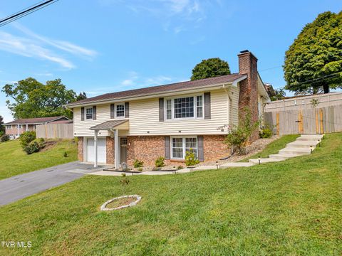 Tiny photo for 100 Martindale Road, Bristol, TN 37620 (MLS # 9986373)