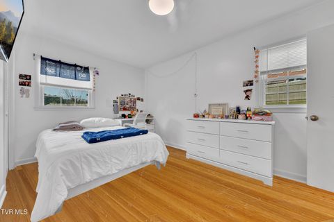 Tiny photo for 100 Martindale Road, Bristol, TN 37620 (MLS # 9986373)