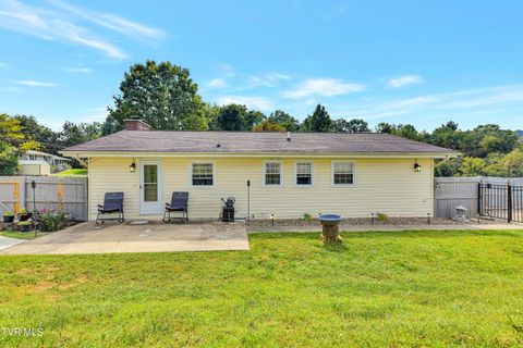 Tiny photo for 100 Martindale Road, Bristol, TN 37620 (MLS # 9986373)