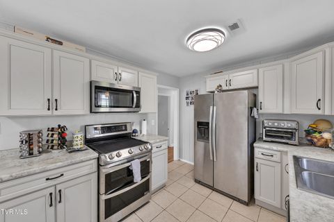 Tiny photo for 100 Martindale Road, Bristol, TN 37620 (MLS # 9986373)