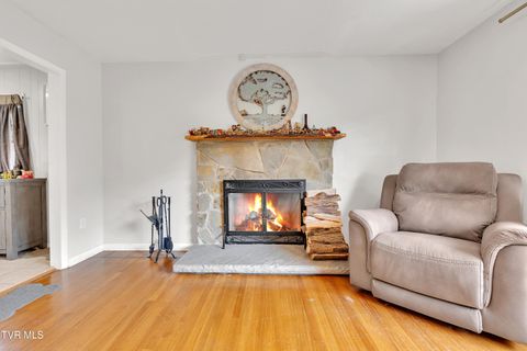 Tiny photo for 100 Martindale Road, Bristol, TN 37620 (MLS # 9986373)