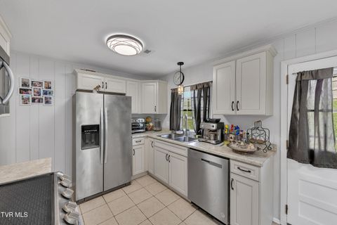 Tiny photo for 100 Martindale Road, Bristol, TN 37620 (MLS # 9986373)