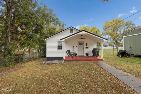 Photo of 211 Home Street, Greeneville, TN 37743 (MLS # 9987270)