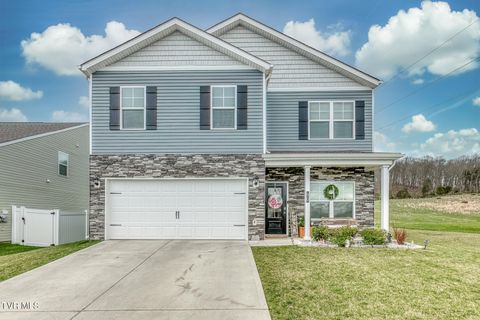 Photo of 90 Thistle Drive, Bluff City, TN 37618 (MLS # 9992858)