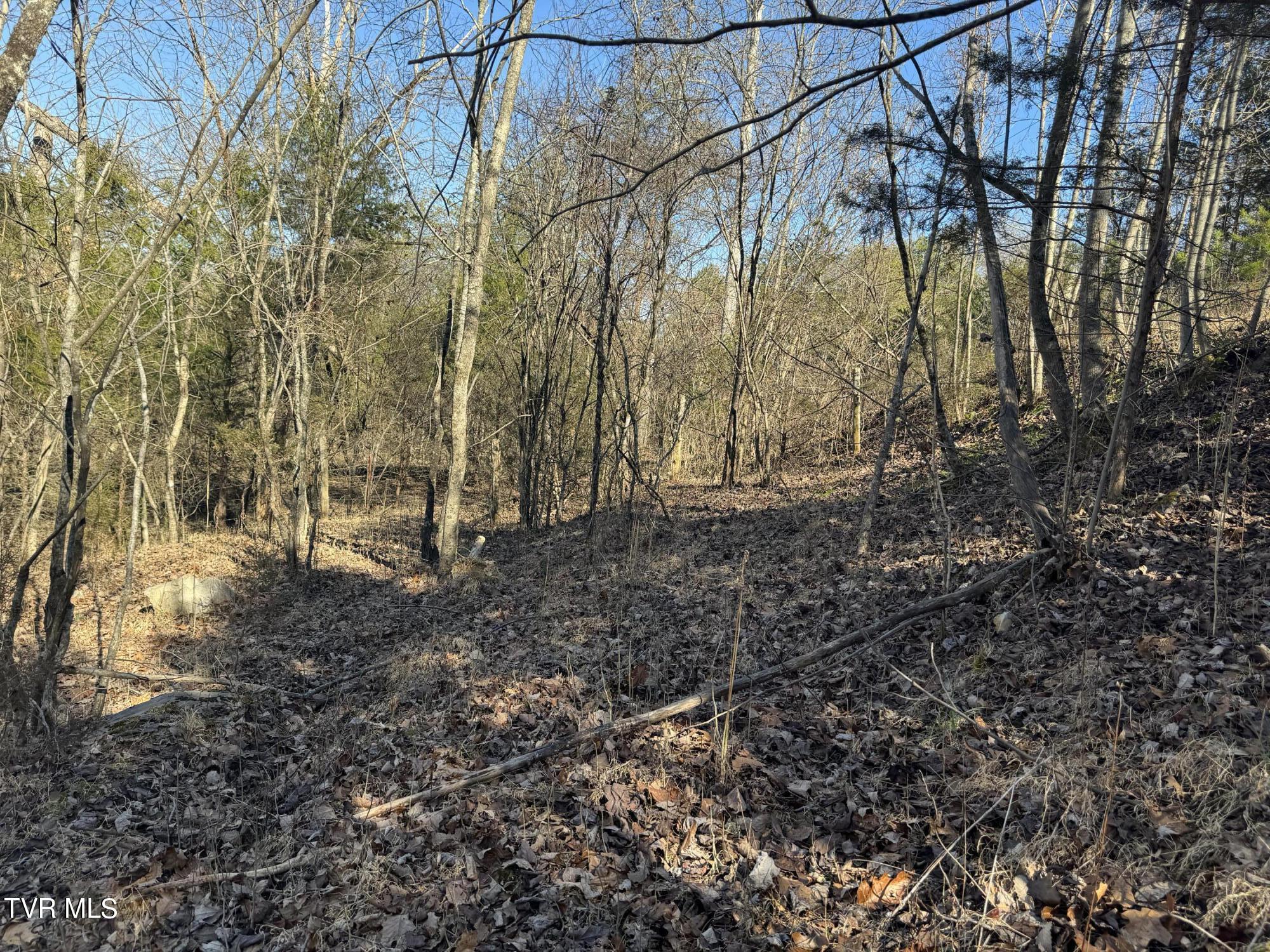 Stagecoach Road, Greeneville, Tennessee image 10