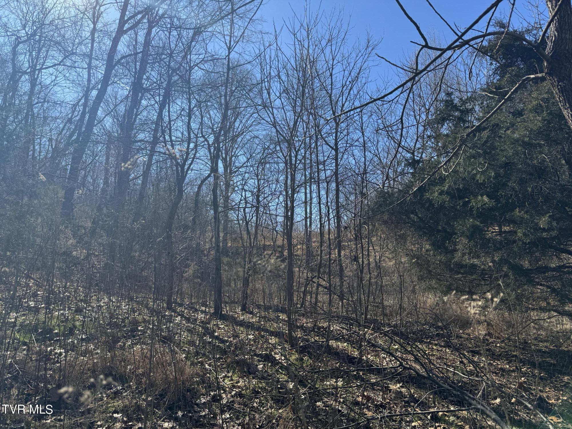 Stagecoach Road, Greeneville, Tennessee image 16