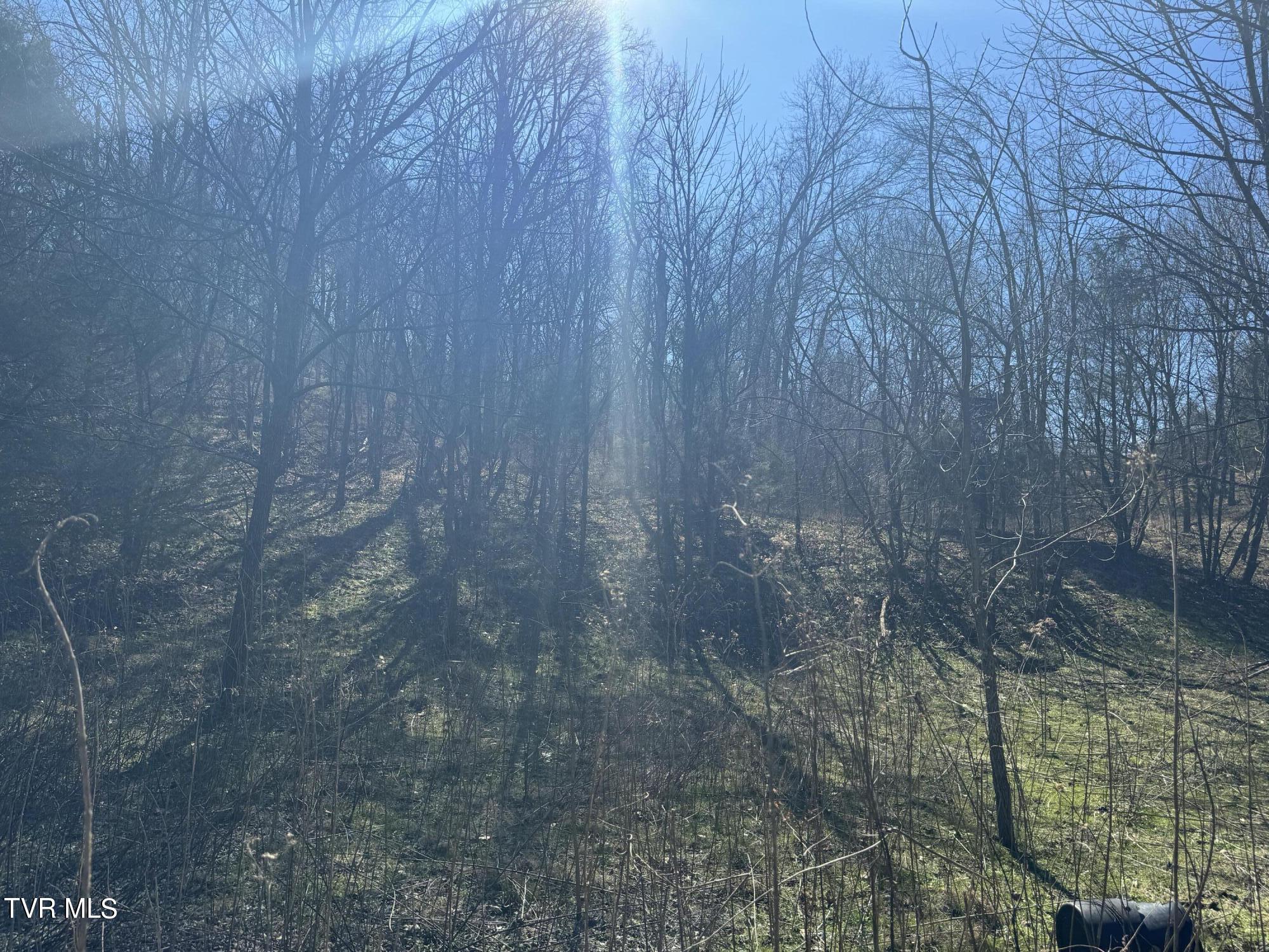 Stagecoach Road, Greeneville, Tennessee image 17