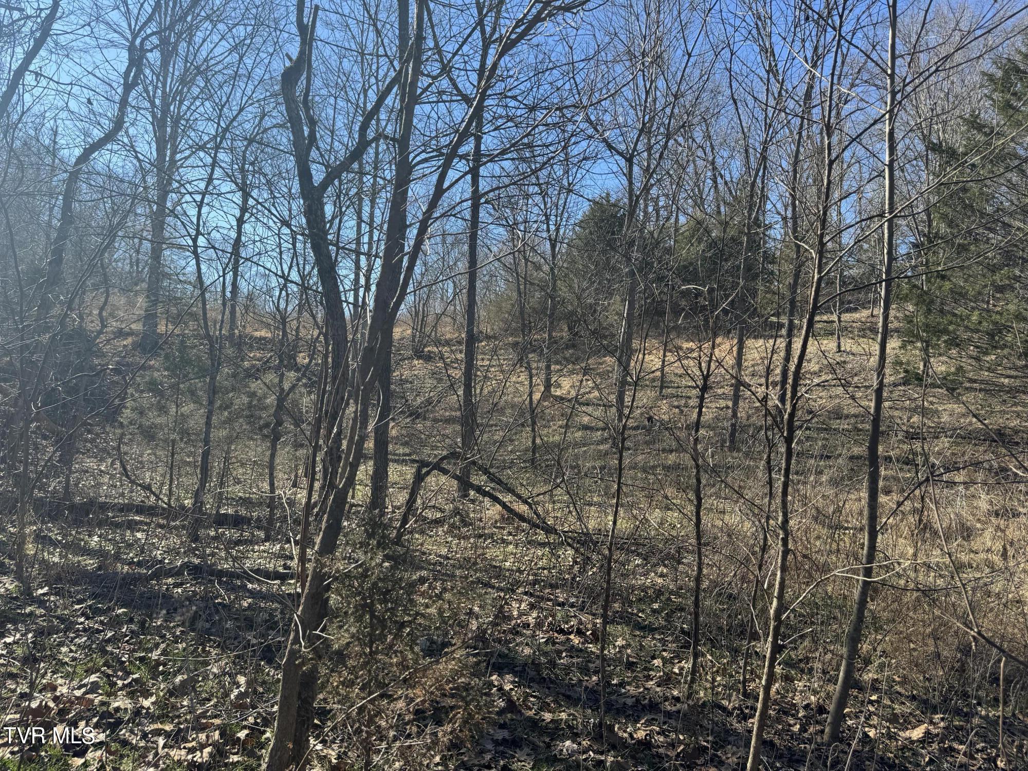 Stagecoach Road, Greeneville, Tennessee image 15